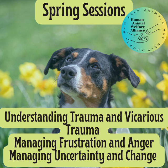 Understanding Trauma and Vicarious Trauma - Spring 2025