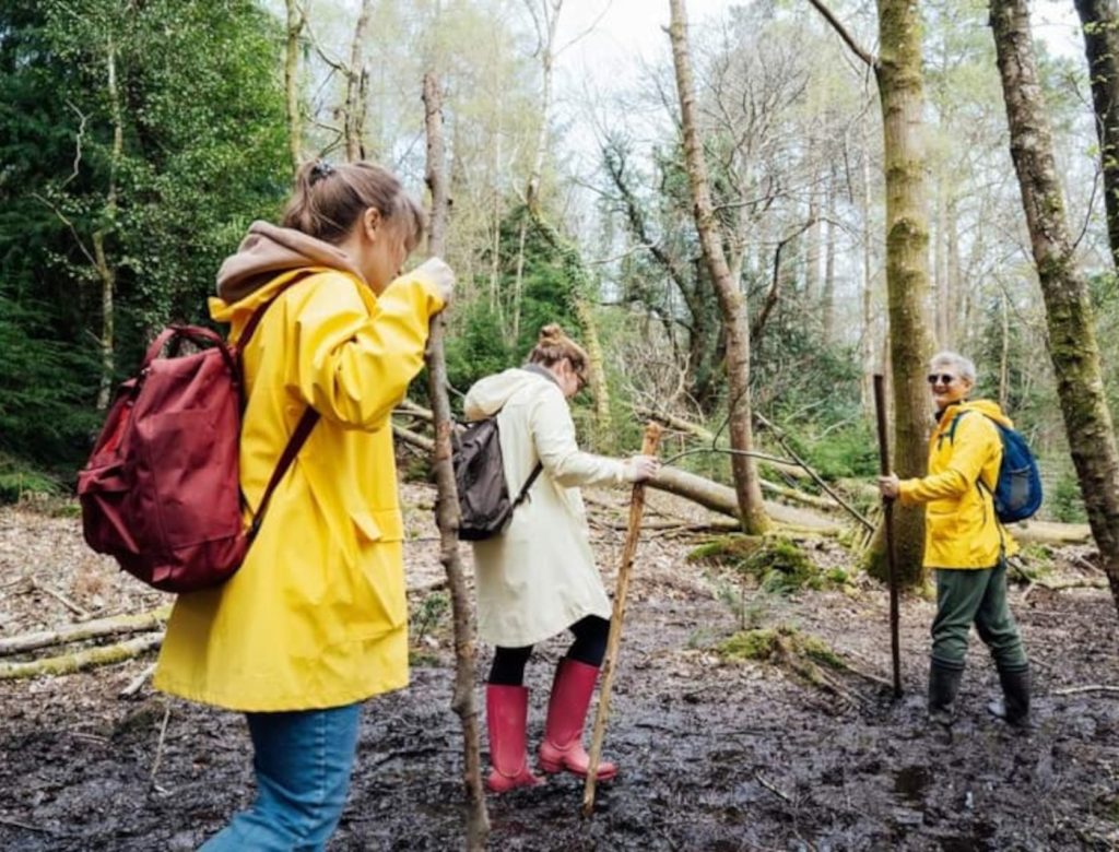 People walking in the woods